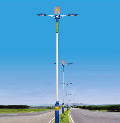 1742826618334021.jpg 甘德LED路灯.jpg